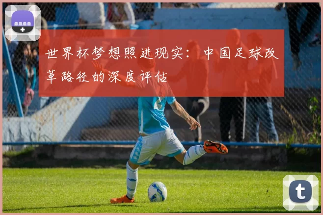 世界杯梦想照进现实:中国足球改革路径的深度评估