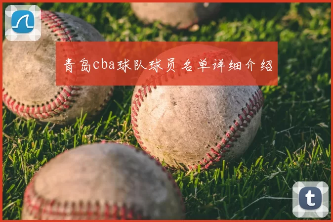 青岛cba球队球员名单详细介绍