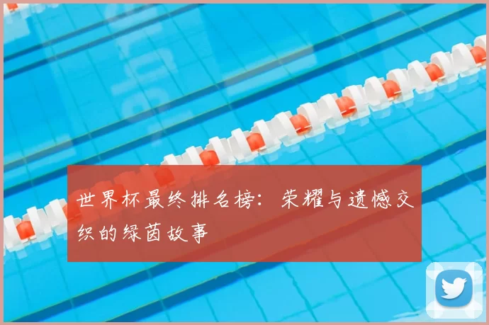 世界杯最终排名榜:荣耀与遗憾交织的绿茵故事