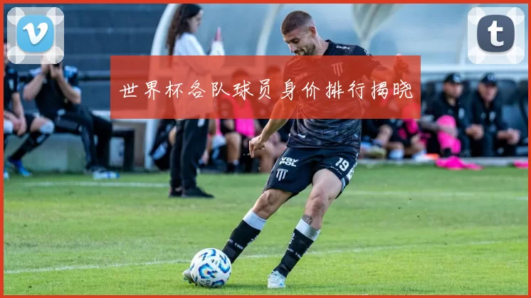 世界杯各队球员身价排行揭晓