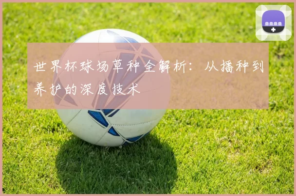 世界杯球场草种全解析：从播种到养护的深度技术