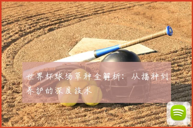 世界杯球场草种全解析：从播种到养护的深度技术