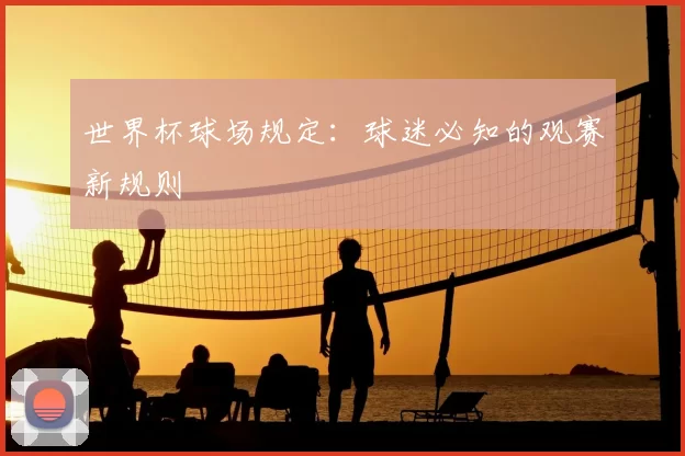 世界杯球场规定:球迷必知的观赛新规则