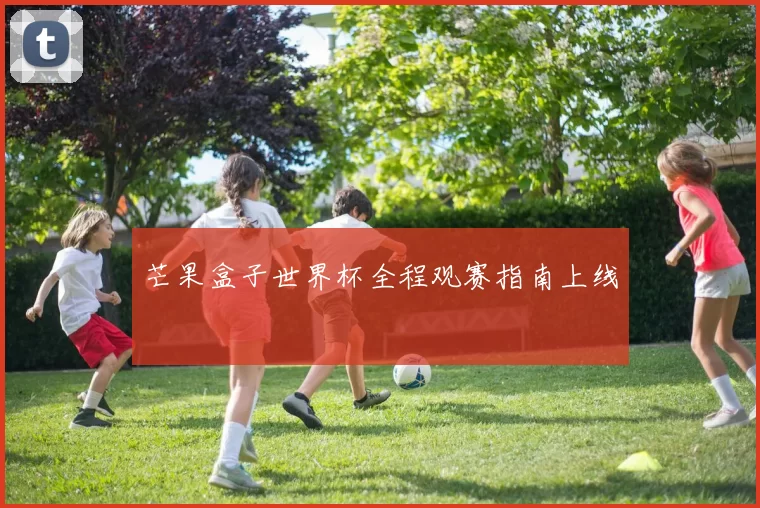 芒果盒子世界杯全程观赛指南上线