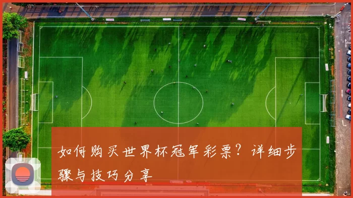 如何购买世界杯冠军彩票?详细步骤与技巧分享