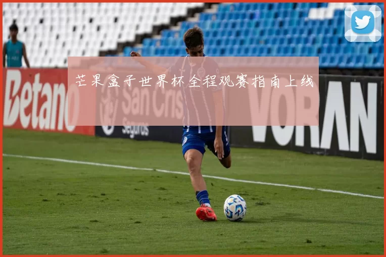 芒果盒子世界杯全程观赛指南上线