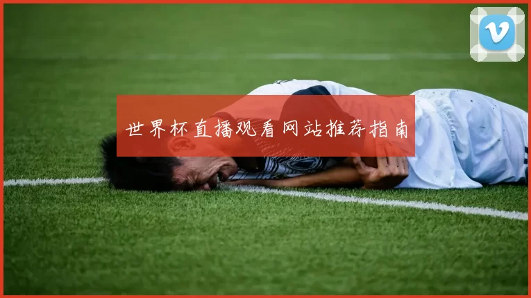 世界杯直播观看网站推荐指南