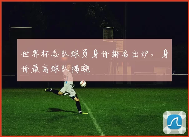 世界杯各队球员身价排名出炉,身价最高球队揭晓