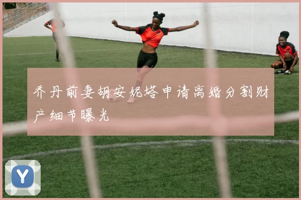 乔丹前妻胡安妮塔申请离婚分割财产细节曝光